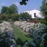 Hotel All'orso Biancade