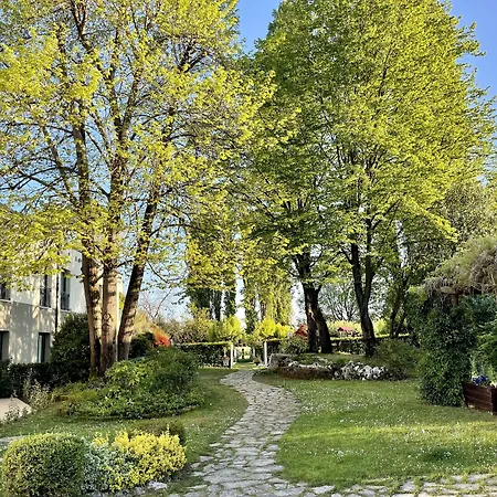 Hotel All'orso Biancade